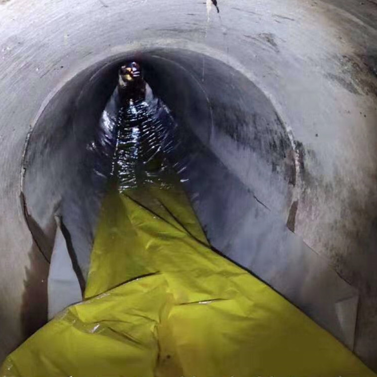 净潭乡管道光固化修复